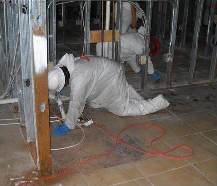 Professional wearing protective equipment while doing mold cleanup