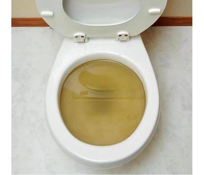 Sewage backup in a toilet